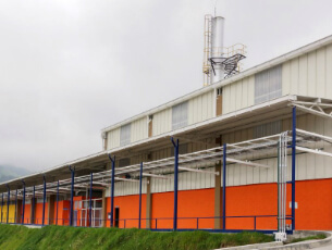 Planta de gomas 2010